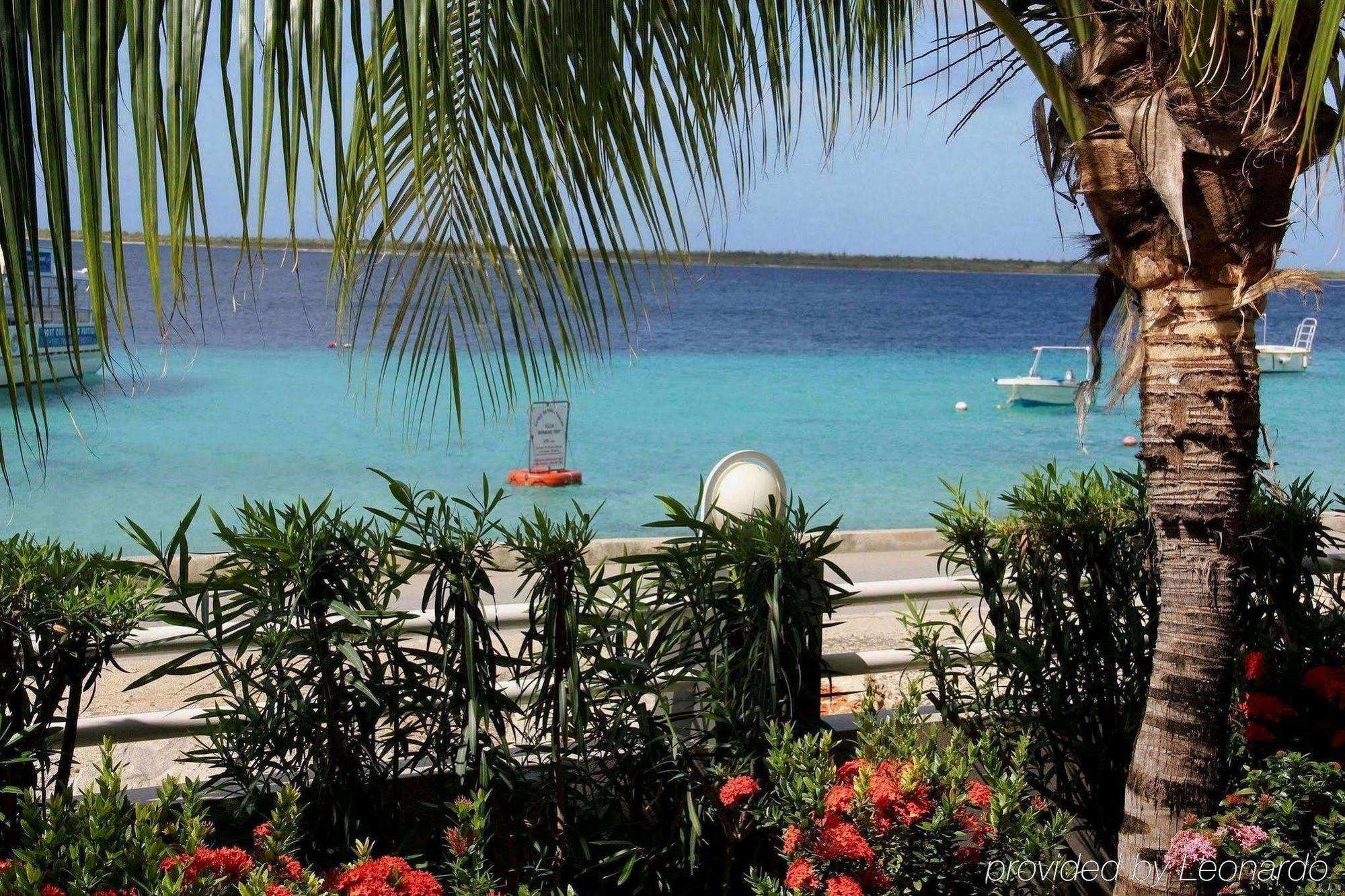 Bonaire Seaside Apartments מתקנים תמונה